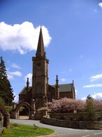 Cherry Blossom at Alyth Parish Church